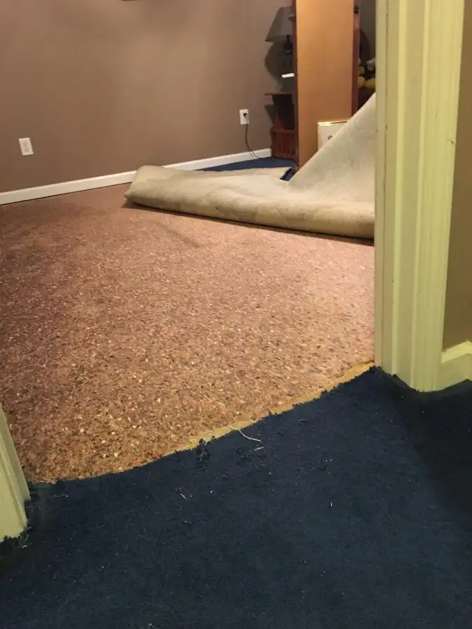 Carpet pad removal revealing water damage during Drying & Dehumidification in Hempstead