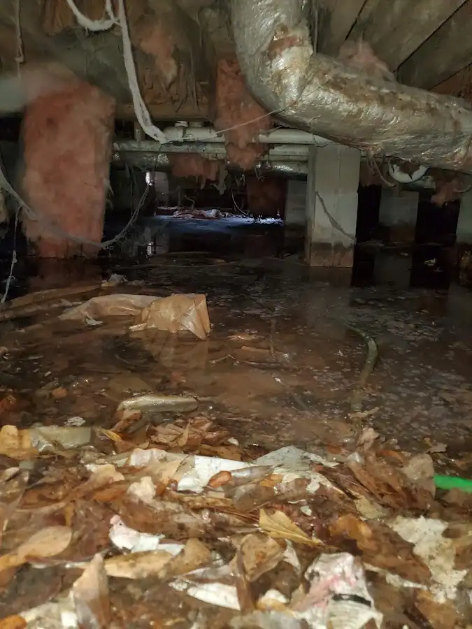 Crawl space flood assessment for Leak Detection & Repair in Hempstead